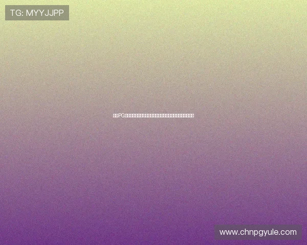 分析PG在线试玩平台的安全措施，确保玩家在试玩过程中的隐私保护